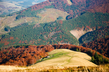 Similar image 1187516