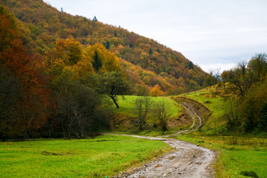 Similar image 1187521