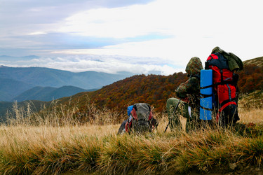 Similar image 1187522