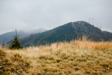 Similar image 1187524