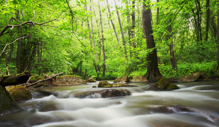 Similar image 1187527