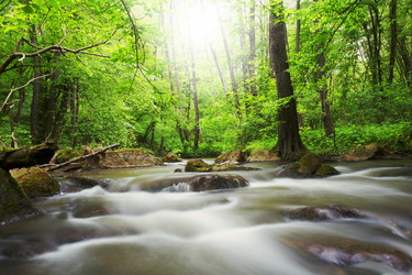 Similar image 1187529