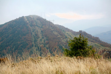 Similar image 1187532