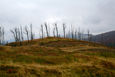 Similar image 1187533