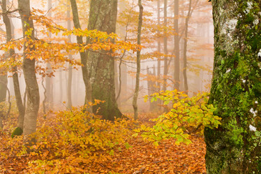 Similar image 1187534