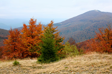 Similar image 1187536