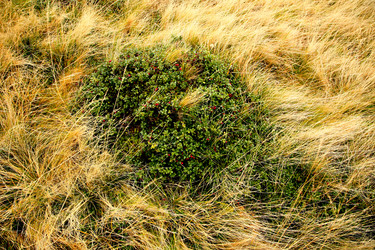 Similar image 1187540