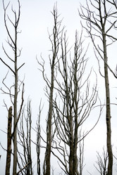 Similar image 1187541