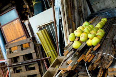 Similar image 1187542