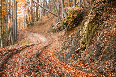 Similar image 1187544