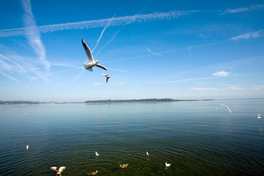 Similar image 1187560