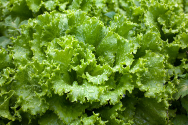 Similar image 1187565