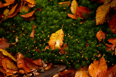 Similar image 1187567