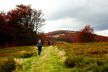 Similar image 1187571