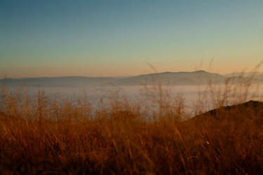 Similar image 1187573