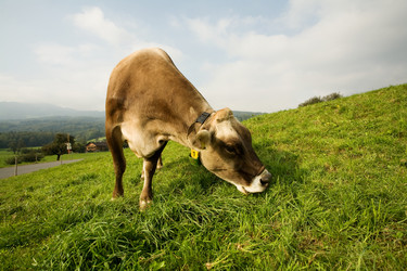 Similar image 1187574