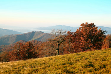 Similar image 1187575