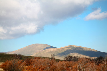 Similar image 1187578