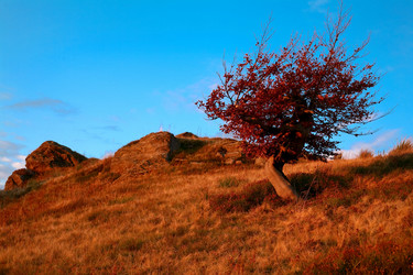 Similar image 1187580