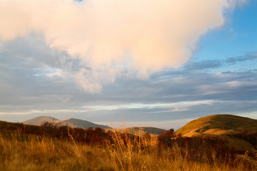 Similar image 1187587