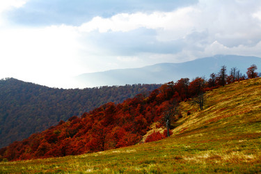 Similar image 1187588