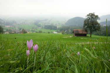 Similar image 1187590