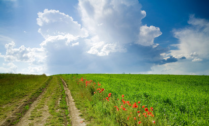 Similar image 1187592