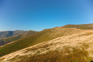 Similar image 1187597