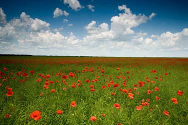 Similar image 1187598