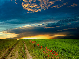 Similar image 1187600