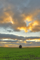 Similar image 1187607