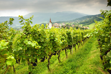 Similar image 1187608