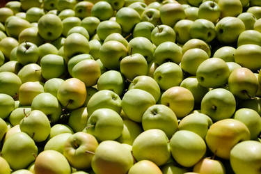 Similar image 1187617