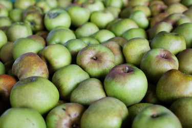 Similar image 1187622