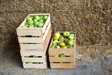 Similar image 1187628