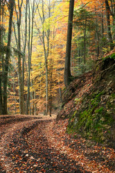 Similar image 1187629