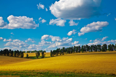 Similar image 1187634