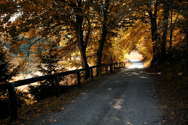 Similar image 1187654