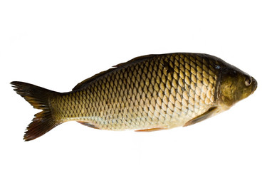 Similar image 1187666