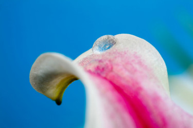 Similar image 1187681