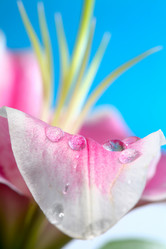 Similar image 1187688