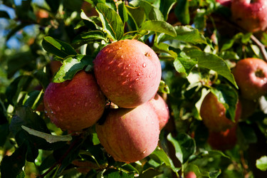 Similar image 1187733