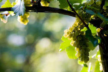 Similar image 1187745