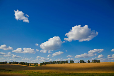 Similar image 1187776