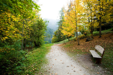 Similar image 1187784