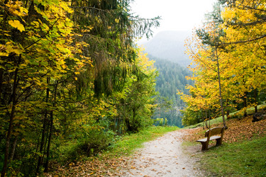 Similar image 1187785