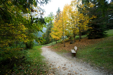 Similar image 1187786