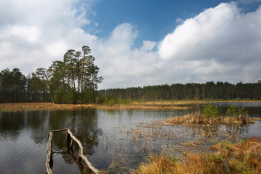 Similar image 1187792