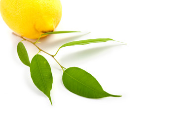 Similar image 1187798