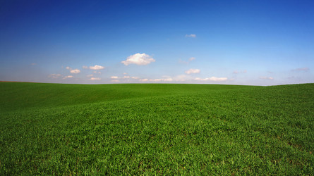 Similar image 1187805